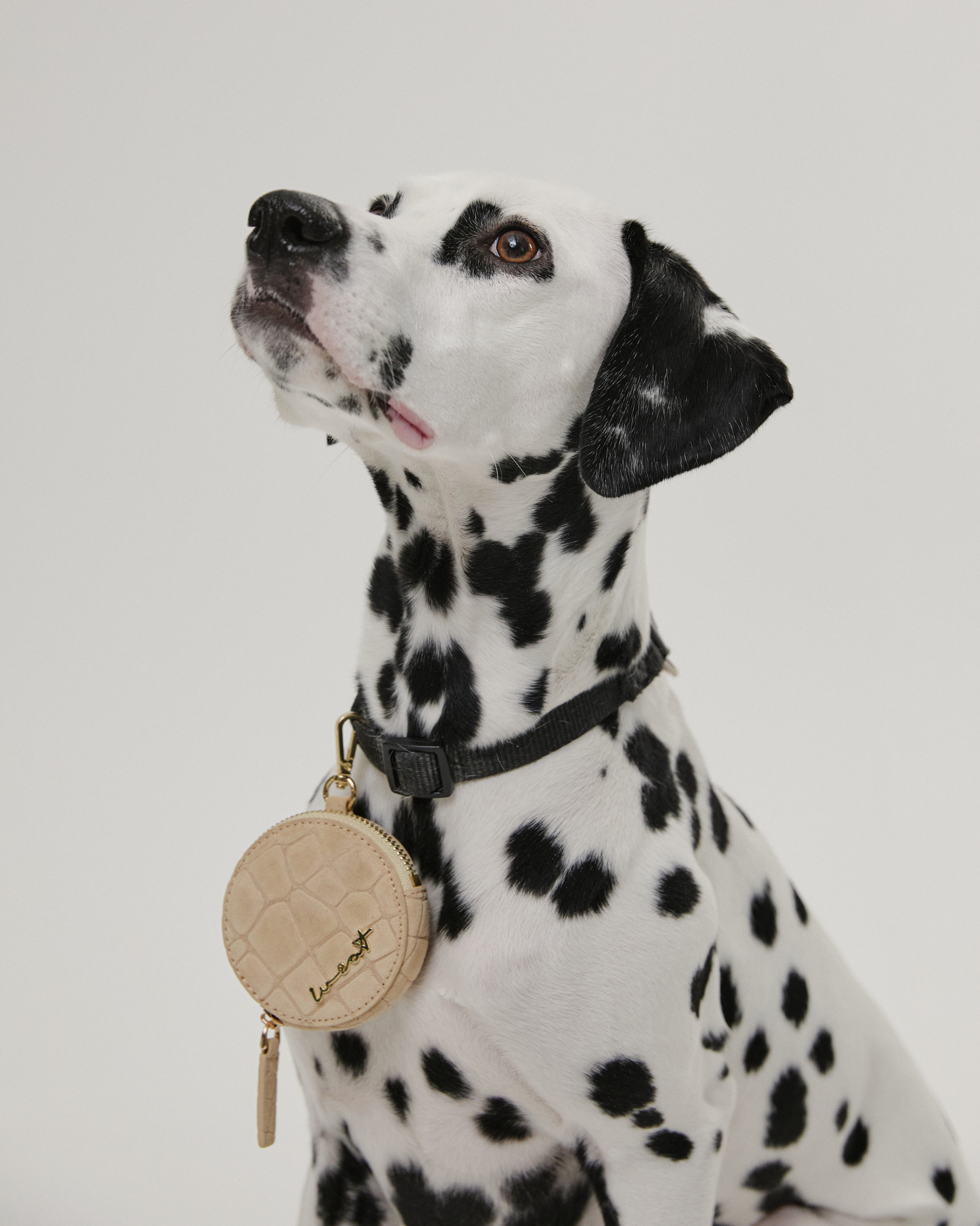 Coin Purse Croco Beige