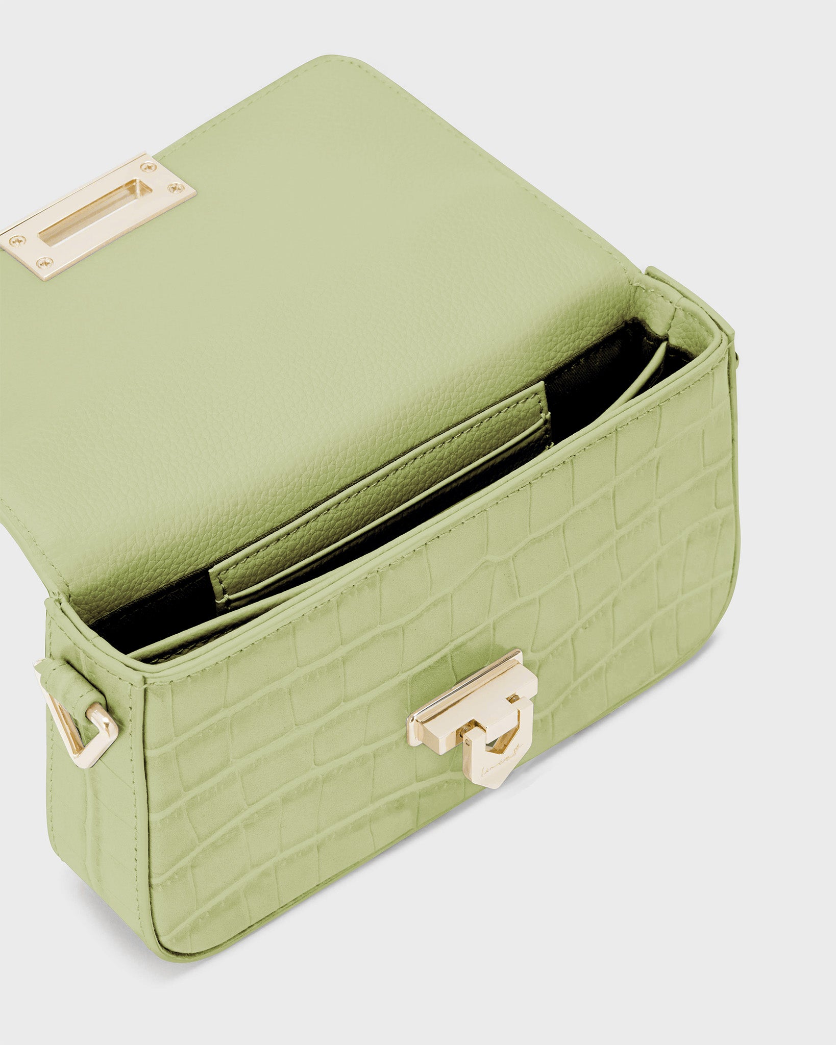 Toast Multi Croco Seedling